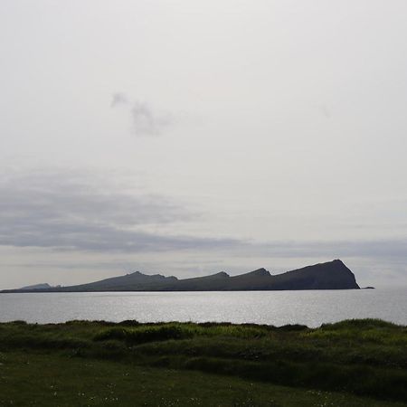 The Old Pier Guest Accommodation, Bed Only, No Breakfast Ballydavid Eksteriør bilde